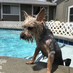 Meet your Posher, Frank